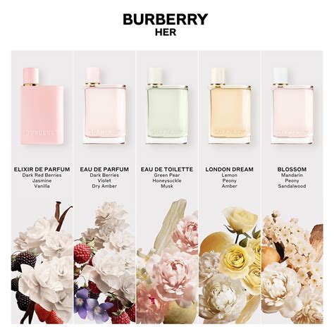 burberry burberry her eau de parfum spray stores|burberry her perfume 5 oz.